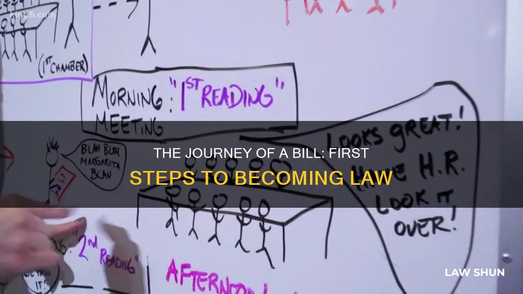 where does a bill go first to become a law