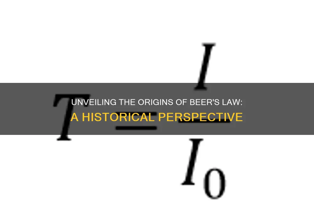 where does beer