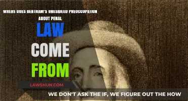 Bentham's Singular Focus: Origins of His Penal Law Obsession