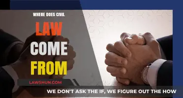 Origins of Civil Law: Tracing Its Historical and Cultural Roots