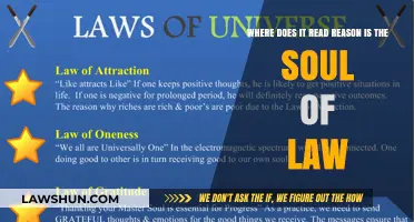 Reason as Law's Soul: Exploring the Timeless Legal Philosophy