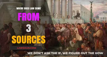 Origins of Law: Exploring Three Key Sources of Legal Authority