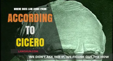Cicero's Origins of Law: Natural Reason and Divine Authority