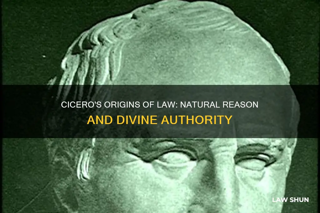 where does law come from according to cicero