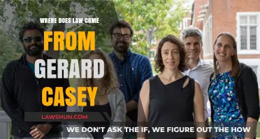 Origins of Law: Exploring Gerard Casey's Philosophical Insights and Sources