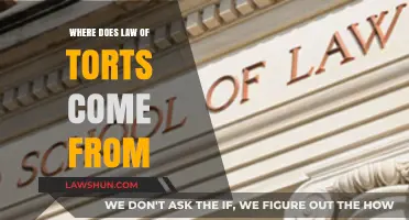 Origins of Tort Law: Tracing Its Historical and Legal Evolution
