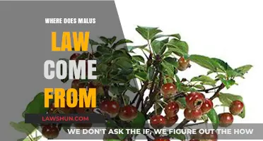 Unveiling the Origins of Malus Law: A Historical Perspective
