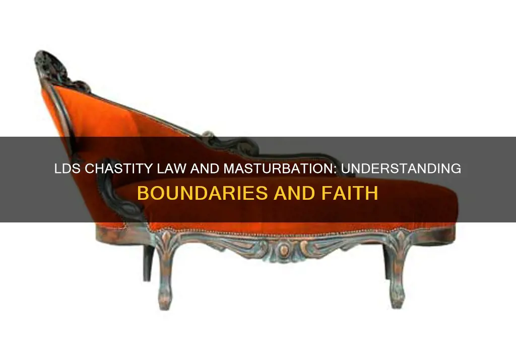 where does masterbation fit in the law of chastity lds