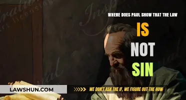 Paul's Insight: The Law's Purpose Without Sin's Shadow