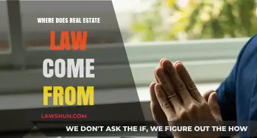 Origins of Real Estate Law: Historical Foundations and Legal Evolution