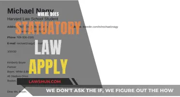 Statutory Law: Where and How It Applies