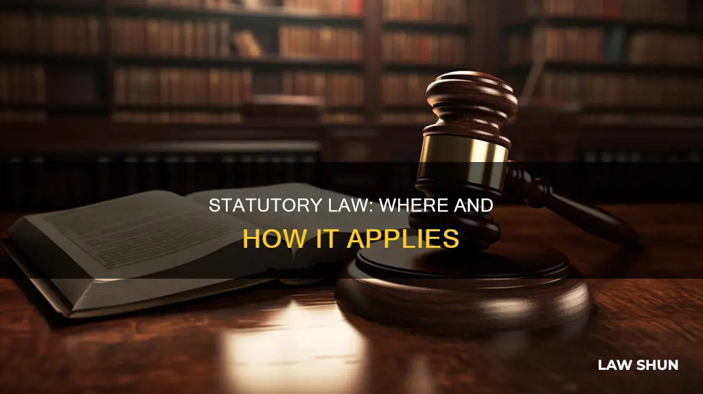 where does statuatory law apply