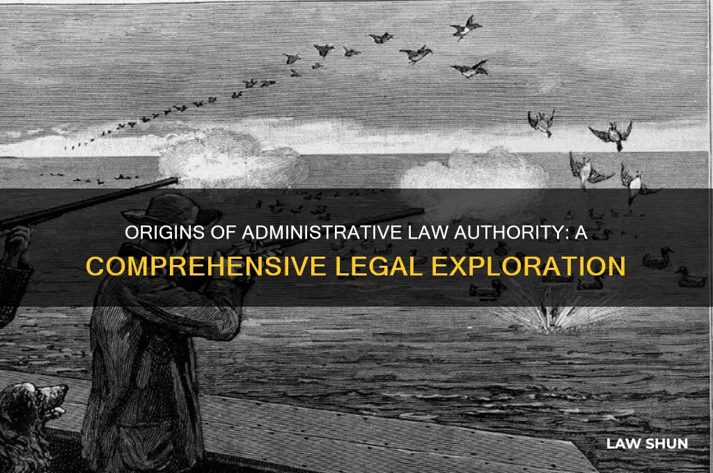 where does the authority for administrative law come from