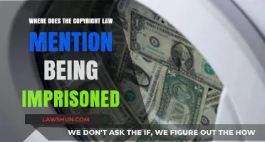 Copyright Law and Imprisonment: Understanding Legal Penalties for Infringement