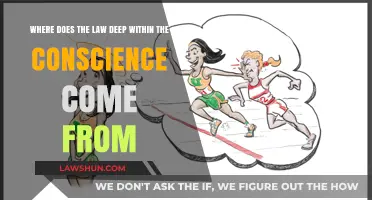 The Origin of Innate Moral Law: Conscience's Legal Roots Explored