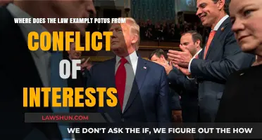 POTUS and Conflict of Interests: Legal Boundaries and Accountability Explored