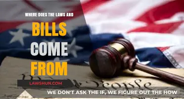 Understanding the Origins of Laws and Bills: A Comprehensive Guide