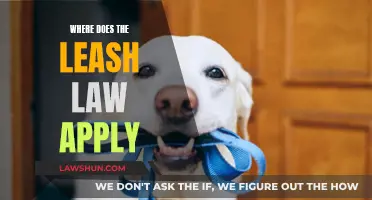 Leash Laws: Where They Apply and Why