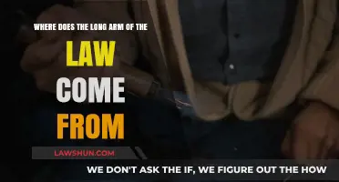 Tracing the Origins of the Law's Long Arm