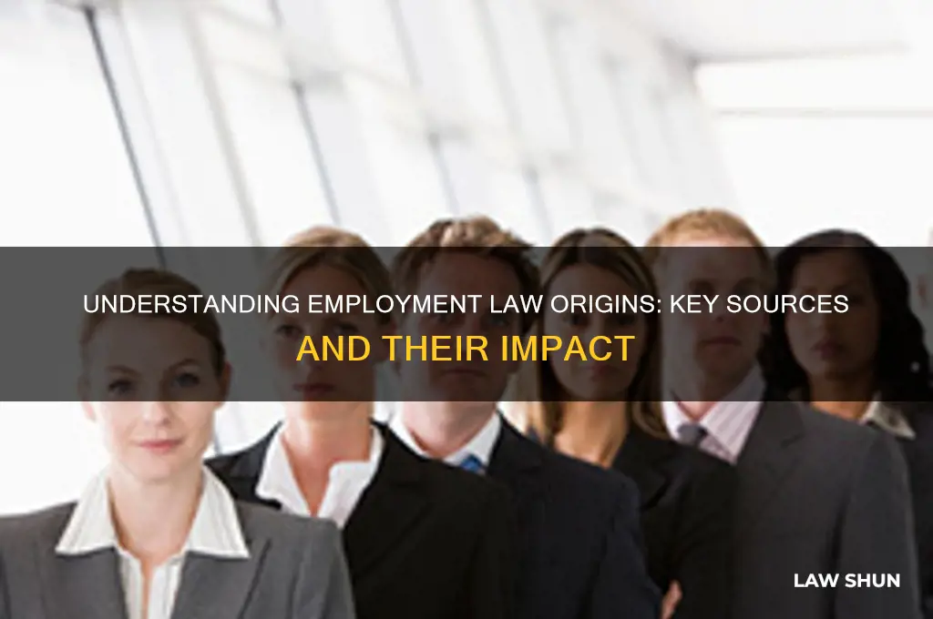where does the majority of employment law come from