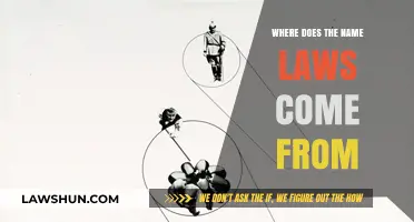 Unraveling the Origins: The Surprising History Behind the Name 'Laws