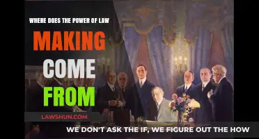 Unveiling the Origins of Legislative Authority: A Deep Dive into Lawmaking Power