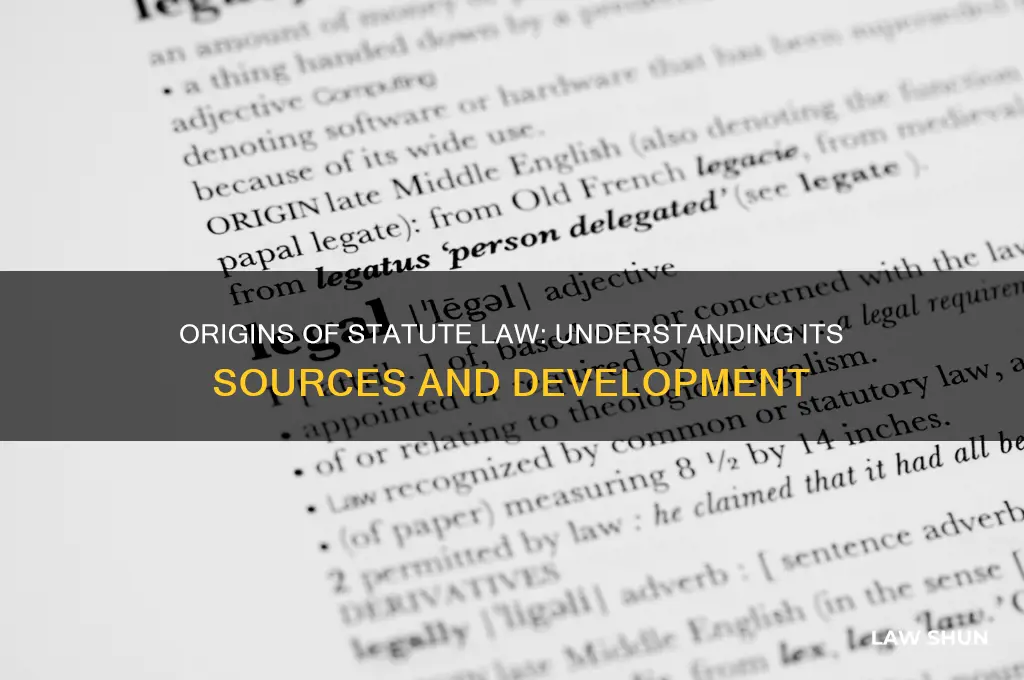 where does the statute law come from