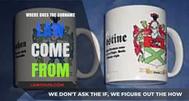 The Origin and History of the Surname Law Explained