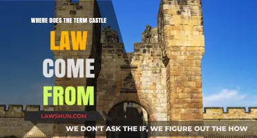 Unveiling the Origins of Castle Law: A Historical Exploration