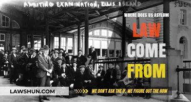 Origins of U.S. Asylum Law: Historical Roots and Legal Foundations