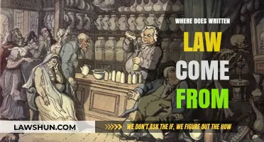 Origins of Written Law: Tracing the Historical and Cultural Sources