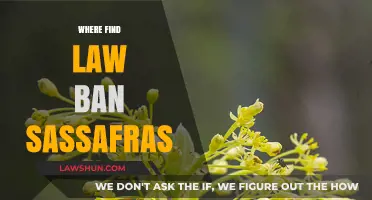Where to Find Laws Banning Sassafras: A Comprehensive Guide