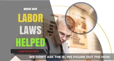Labor Laws in Action: Transforming Workplaces and Empowering Workers Globally