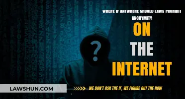 Balancing Privacy and Accountability: Should Anonymity Be Restricted Online?