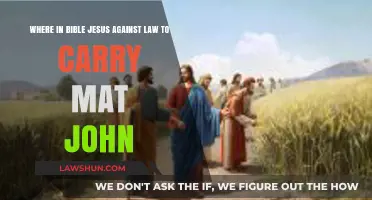 Jesus and the Sabbath: Unraveling the Mat-Carrying Debate in John