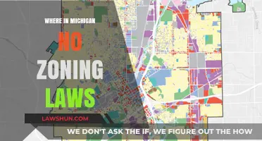 Exploring Michigan's Zoning-Free Areas: Where and Why They Exist