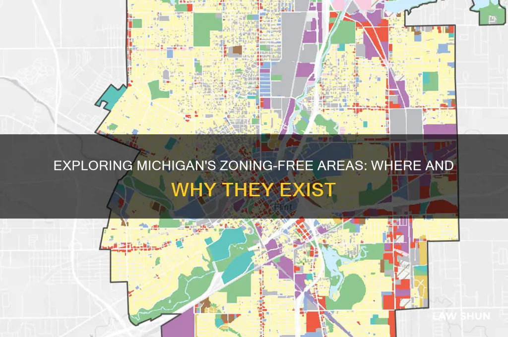 where in michigan no zoning laws