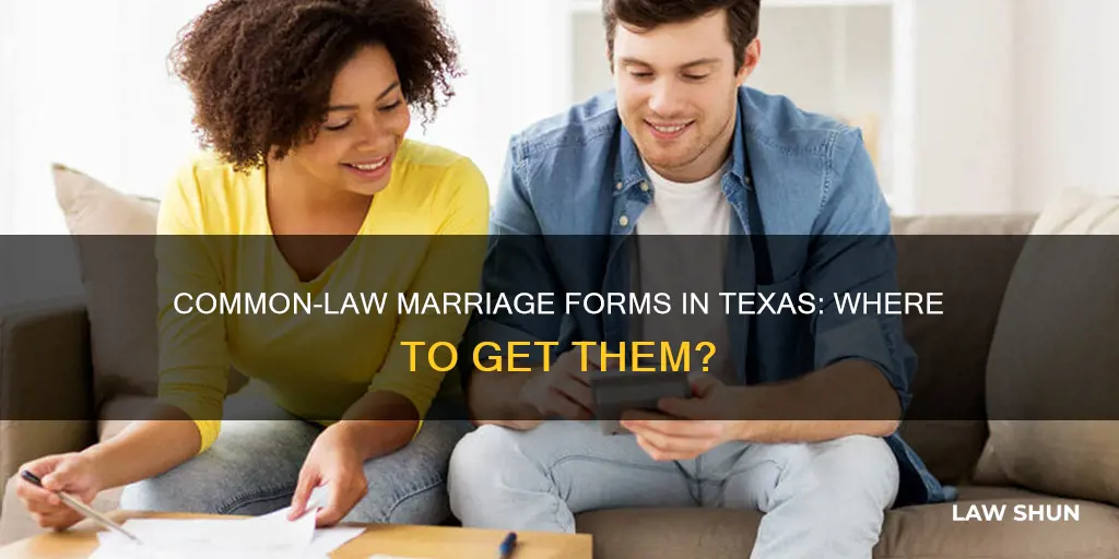where in texas do i get common law marriage form