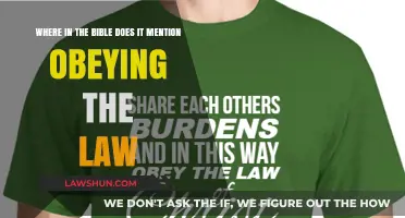 Biblical Foundations: Understanding Scripture's Call to Obey the Law
