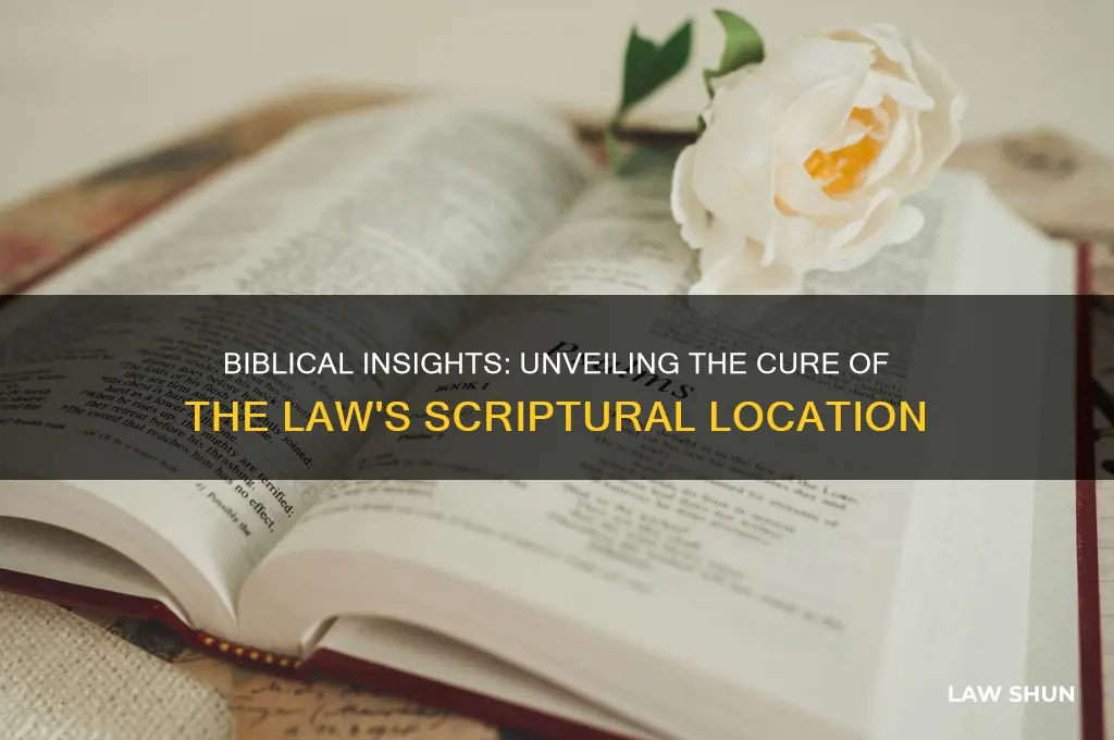 where in the bible is the cure of the law