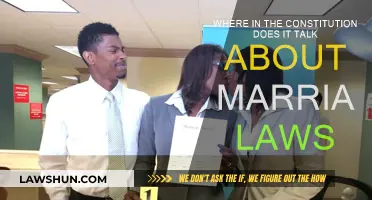 Marriage Laws: Where in the Constitution?