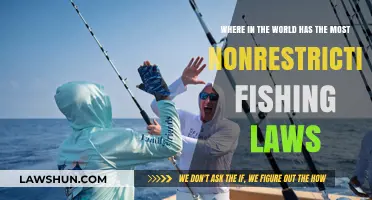 Global Fishing Freedom: Countries with the Most Lenient Fishing Laws