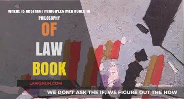 Abstract Principles in Philosophy of Law: Locating Key Concepts in Texts