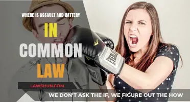 Assault and Battery: Common Law Crimes Explained
