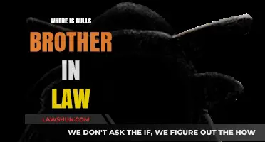 Finding Bull's Long-Lost Brother-in-Law