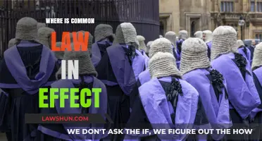 Common Law's Global Reach