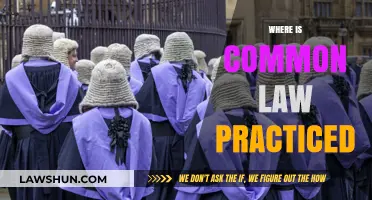 Common Law Practice: A Global Overview