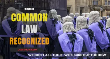 Common Law Recognition: A Global Perspective