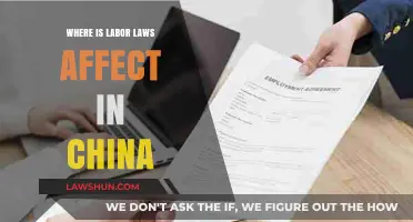 China's Labor Laws: Impact, Enforcement, and Worker Rights Explained