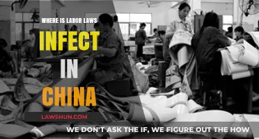Labor Laws in China: Where Are They Ineffective and Why?